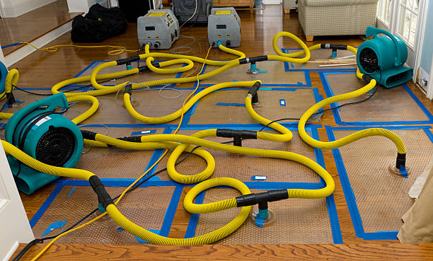 Professional Structural Drying And Dehumidification technician working in Brielle, NJ